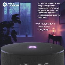 Умная колонка Яндекс Станция Мини 3, 12Вт, с Алисой на YaGPT, черный