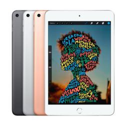 iPad mini 5 WiFi 256GB Space Gray (2019)