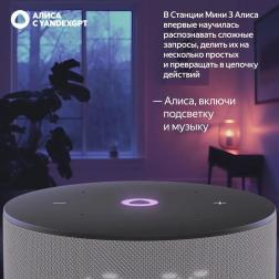 Умная колонка Яндекс Станция Мини 3, 12Вт, с Алисой на YaGPT, серый